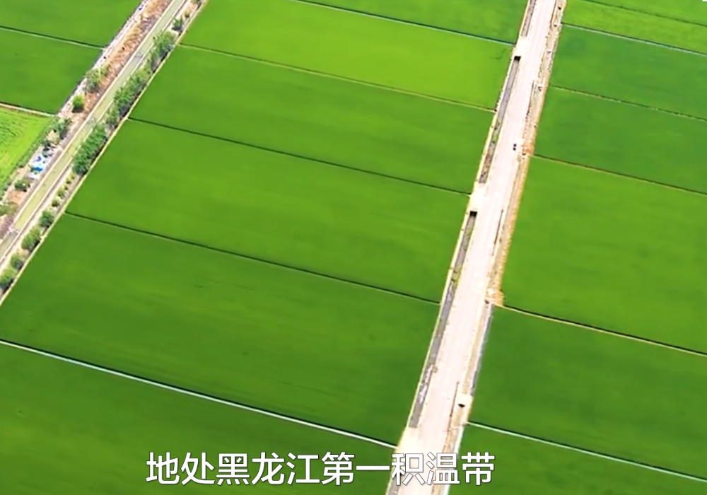 德鑫全是如何服务加盟商的？